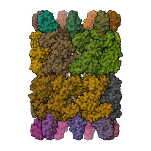RCSB PDB - 7YWY: Structure of the GroEL chaperonin in complex with the ...
