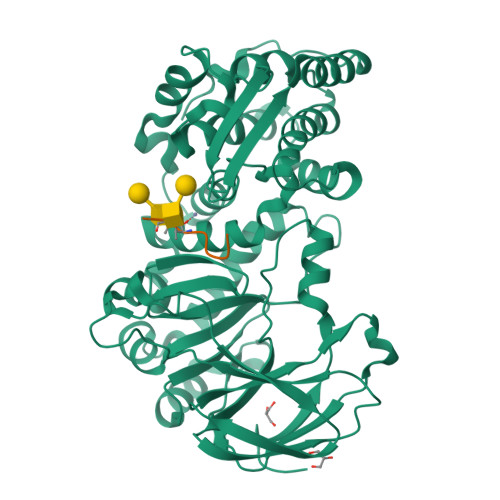 RCSB PDB - 7YX8: Crystal structure of the AM0627 (E326A