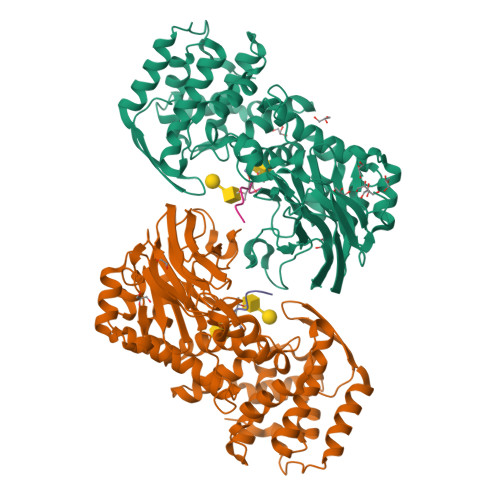 RCSB PDB - 7YX8: Crystal structure of the AM0627 (E326A) inactive