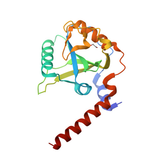 RCSB PDB - 7YYE: Orthorombic crystal structure of YTHDF1 YTH