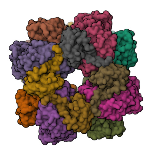 RCSB PDB - 7YYO: Cryo-EM structure of an a-carboxysome RuBisCO enzyme ...