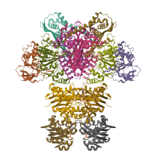 lycolyco2004様 RCSB PDB - 7Z15: E. coli C-P lyase bound to a PhnK/PhnL dual ABC