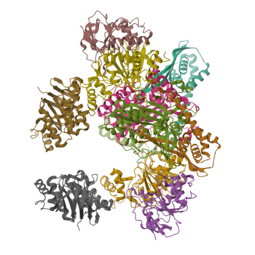 松17 9961142007-447_H.jpg?v=1720321211