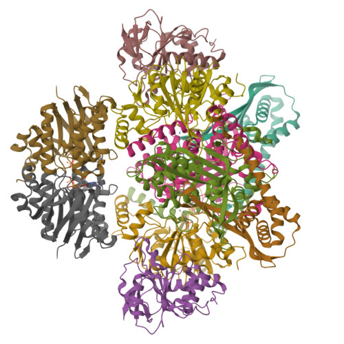 RCSB PDB - 7Z18: E. coli C-P lyase bound to a PhnK ABC dimer and ATP