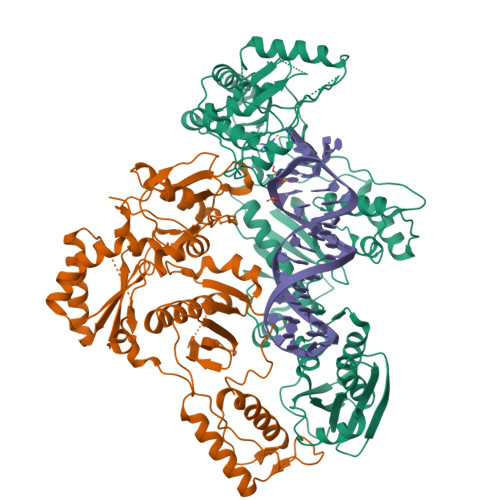 Rcsb Pdb Z Cryo Em Structure Of Nnrti Resistant M I E K Mutant Hiv Reverse