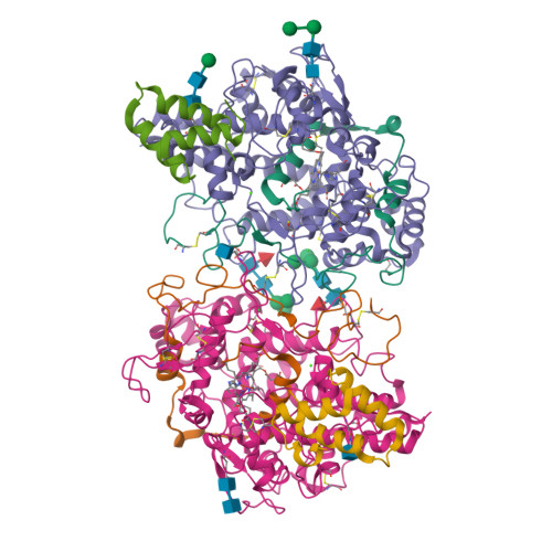 Po-teページ RCSB PDB - 7Z53: Structure of native leukocyte myeloperoxidase in