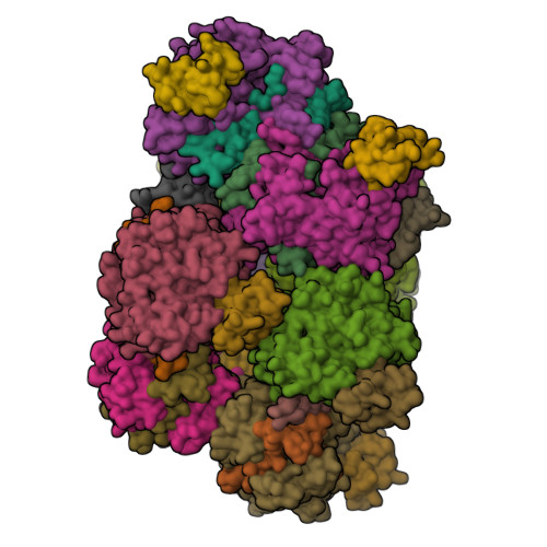 RCSB PDB - 7Z53: Structure of native leukocyte
