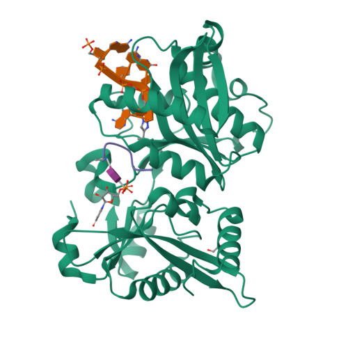 RCSB PDB - 7Z5Y: CRYSTAL STRUCTURE OF WEISSELLA VIRIDESCENS FEMXVV