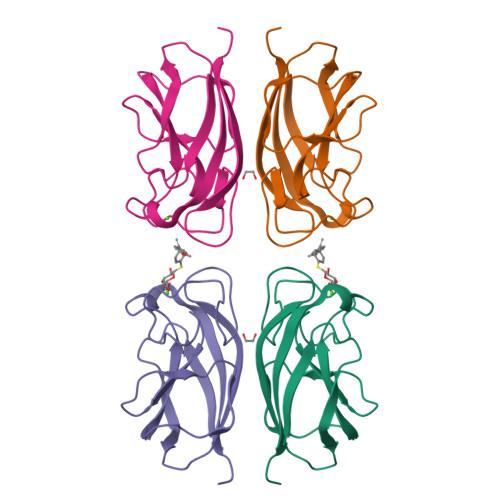 RCSB PDB - 7Z62: Structure Of The LecA Lectin From Pseudomonas ...