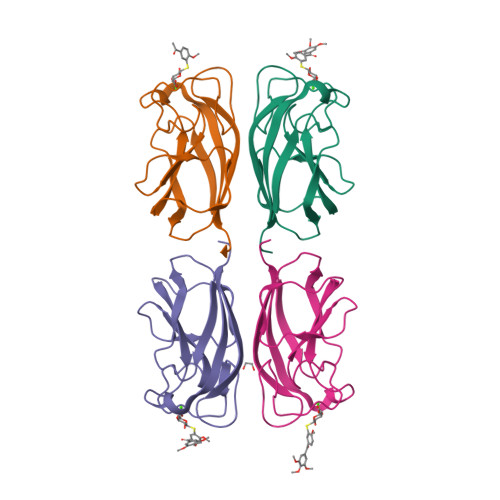 RCSB PDB - 7Z63: Structure of the LecA lectin from Pseudomonas ...