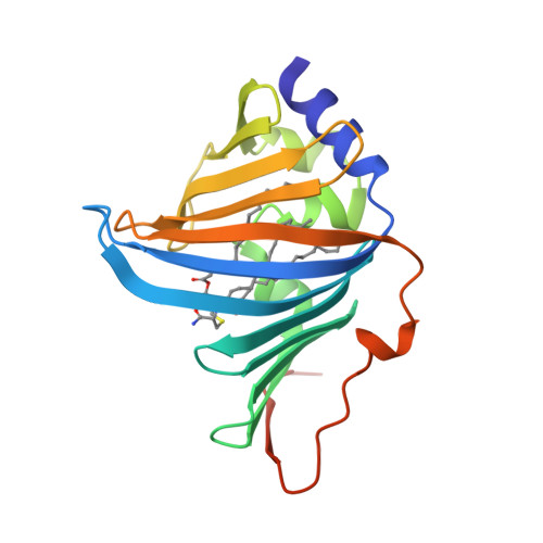 Structural basis of lipoprotein recognition by the bacterial Lol