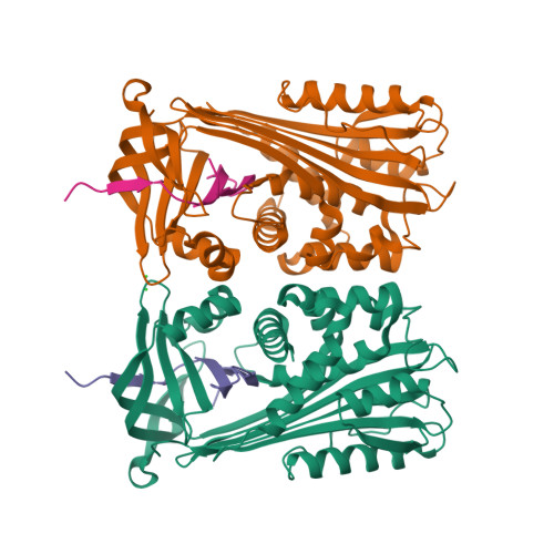 Ixodes Ricinus Structure RCSB PDB - 7ZAS: Crystal structure of cleaved Iripin-4 serpin from tick ...