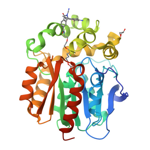 a locally activatable sensor for robust quantification of organellar glutathione RCSB PDB L-GLUTATHIONE, KOJIC ACID, DIPALMITATE, مكمل يعطي بشرة موحدة Chemical grade:Laboratory