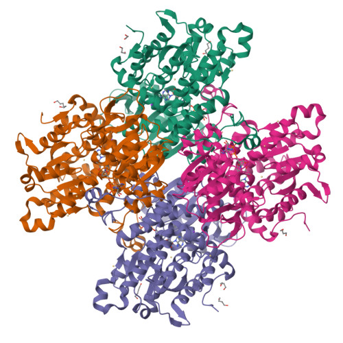 Rcsb Pdb 7zd0 Crystal Structure Of Pseudomonas Aeruginosa S Adenosyl 0607