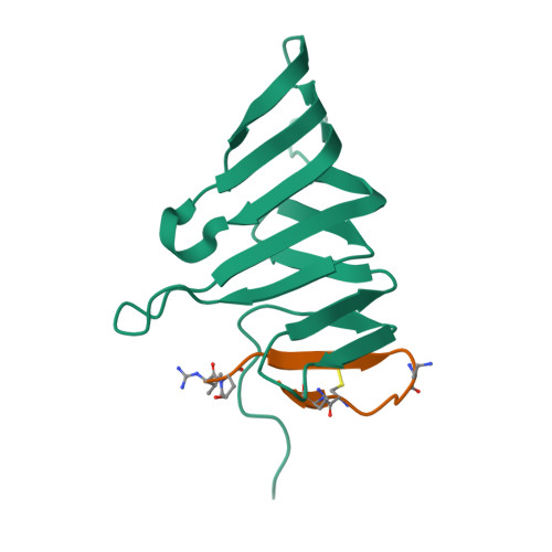 RCSB PDB - 7ZED: Solution structure of thanatin-like derivative 7