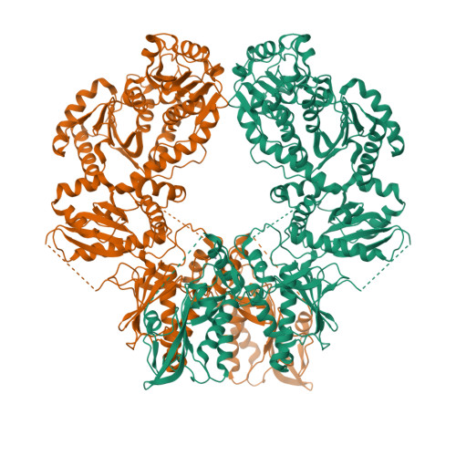 RCSB PDB - 7ZEP: Human SLFN11 E209A dimer