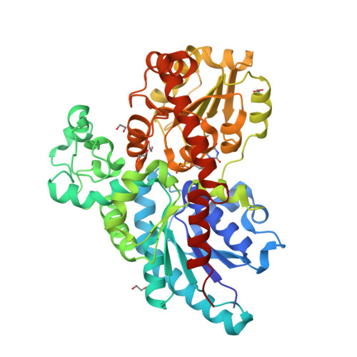 RCSB PDB - 7ZER: Crystal structure of UGT85B1 from Sorghum bicolor