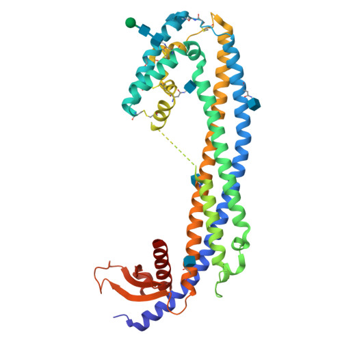 RCSB PDB - 7ZET: Crystal structure of human Clusterin, crystal form I
