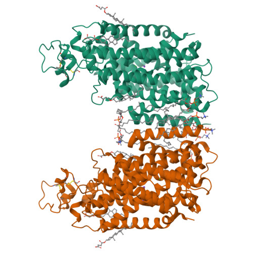 RCSB PDB - 7ZGO: Cryo-EM Structure Of Human NKCC1 (TM Domain)