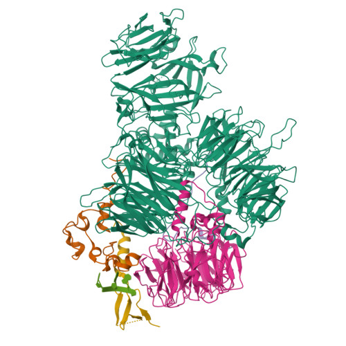 RCSB PDB - 7ZGR: Polymerase module of yeast CPF in complex with Mpe1 ...