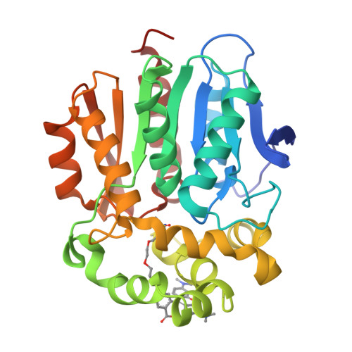 RCSB PDB - 7ZIX: X-ray structure of the haloalkane