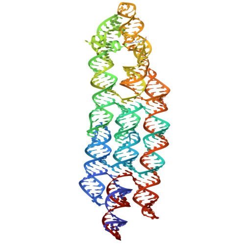 RCSB PDB - 7ZJ4: Ligand bound state of a brocolli-pepper aptamer FRET tile