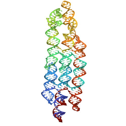 RCSB PDB - 7ZJ5: Unbound state of a brocolli-pepper aptamer FRET tile.