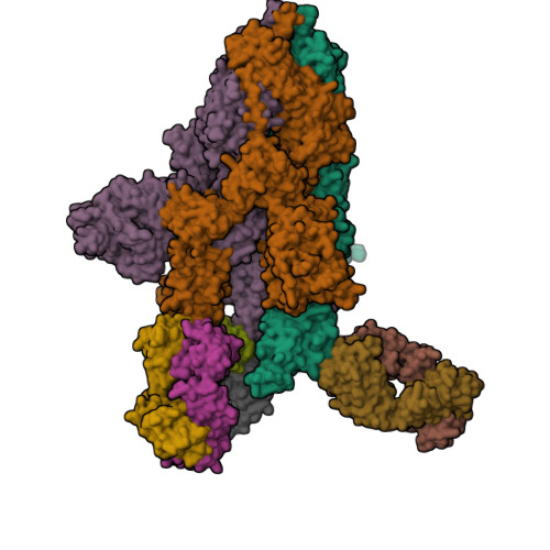 RCSB PDB - 7ZJL: Delta SARS-CoV-2 spike protein in complex