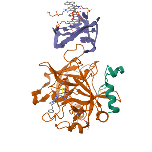 RCSB PDB - 7ZKL: X-ray structure of the complex between human alpha ...
