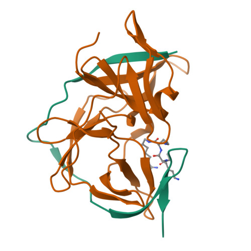 RCSB PDB - 7ZLC: Crystal Structure of Unlinked NS2B_NS3 RCSB PDB - 7ZLC: Crystal Structure of Unlinked NS2B_NS3