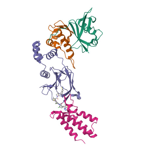 Distinction I〜Ⅳ、Structures RCSB PDB - 4JSN: structure of mTORdeltaN-mLST8 complex