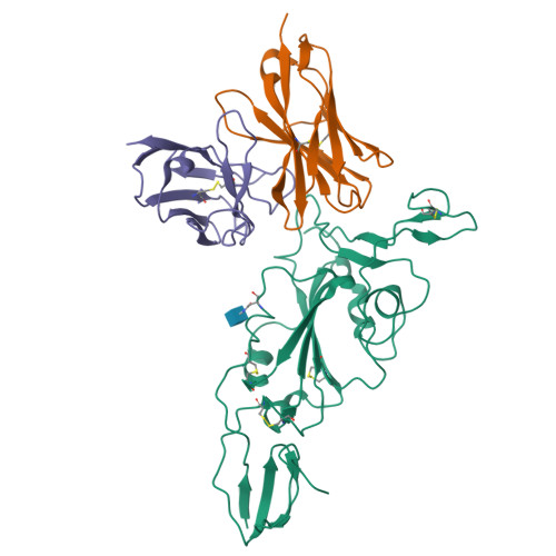 RCSB PDB - 7ZR8: OMI-38 FAB IN COMPLEX WITH SARS-COV-2 BETA SPIKE