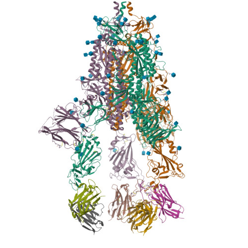 RCSB PDB - 7ZR9: OMI-2 FAB IN COMPLEX WITH SARS-COV-2 BETA SPIKE