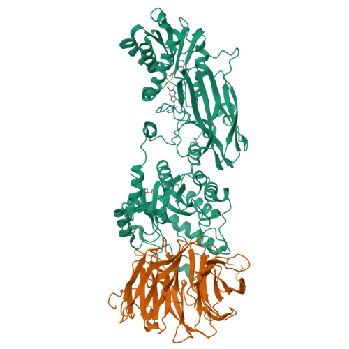 Prmt5 Structure RCSB PDB - 7ZUQ: HUMAN PRMT5:MEP50 Crystal Structure With MTA and ...