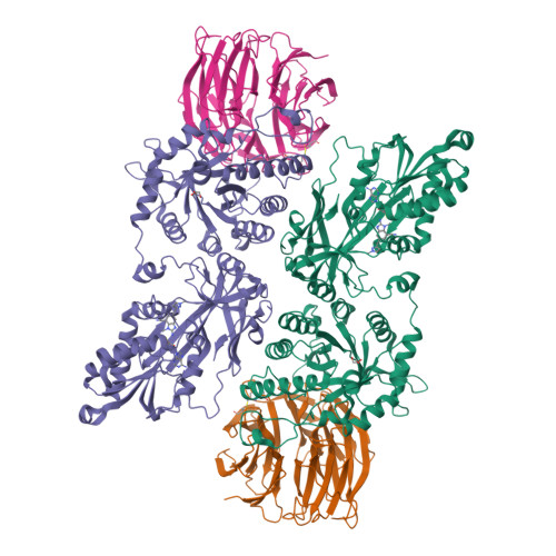 Prmt5 Structure RCSB PDB - 7ZVU: HUMAN PRMT5:MEP50 Crystal Structure With MTA and ...