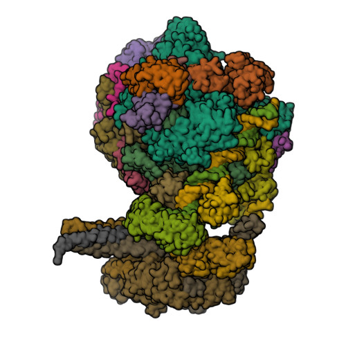 RCSB PDB - 7ZX7: Structure of SNAPc containing Pol II pre 