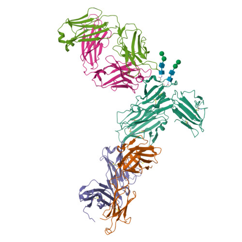 RCSB PDB - 7ZXF: Pfs48/45 bound to monoclonal antibodies