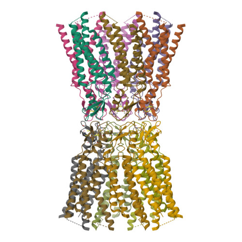 RCSB PDB - 7ZXM: cryo-EM structure of Connexin 32 gap