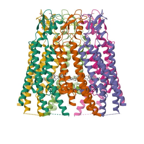 RCSB PDB - 7ZXN: cryo-EM structure of Connexin 32 gap junction channel