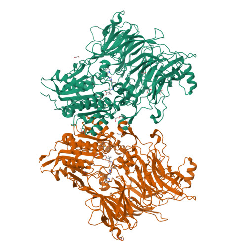 Distinction I〜Ⅳ、Structures RCSB PDB - 7ZXS: Crystal structure of DPP9 in complex with a
