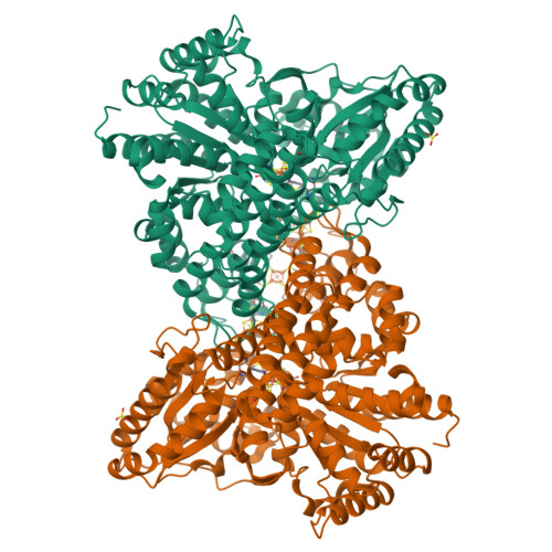 RCSB PDB - 7ZXX: K563H Mutant of Recombinant CODH-II