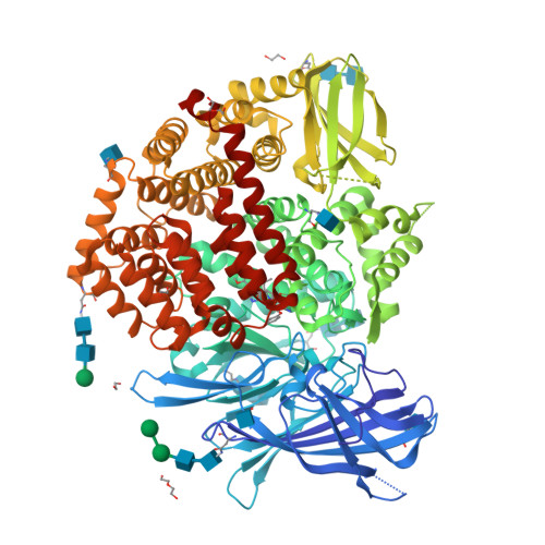 RCSB PDB - 7ZYF: Insulin regulated aminopeptidase (IRAP) in complex ...