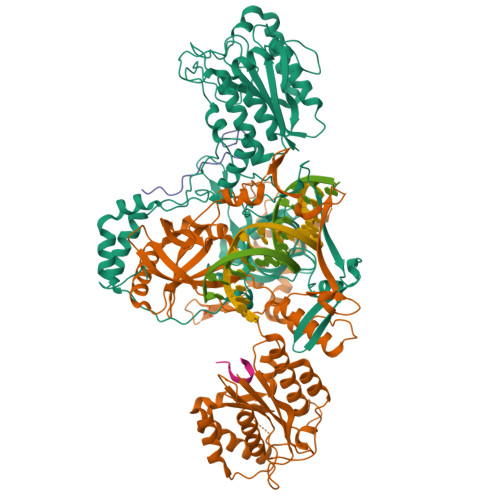 RCSB PDB - 7ZYG: CryoEM structure of Ku heterodimer bound to DNA