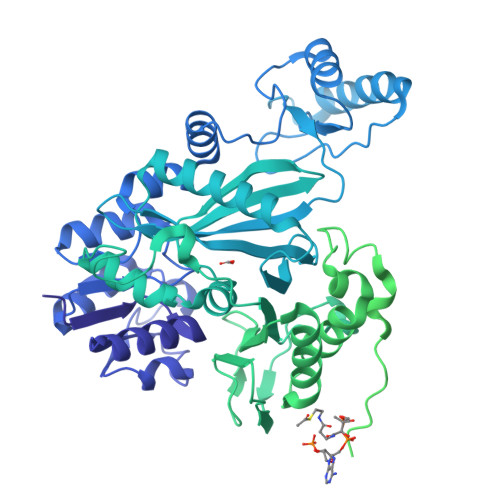 RCSB PDB - 7ZZ5: Cryo-EM structure of 