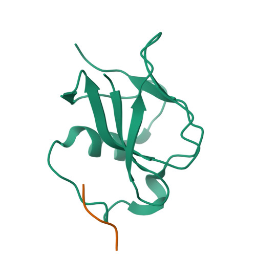 よしぴ　確認 RCSB PDB - 8A05: Bacteriophage phiCjT23 spike protein penton domain