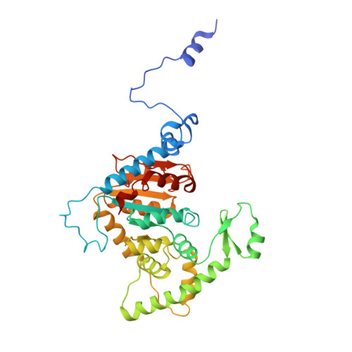 RCSB PDB - 8A0E: CryoEM structure of DHS-eIF5A1 complex