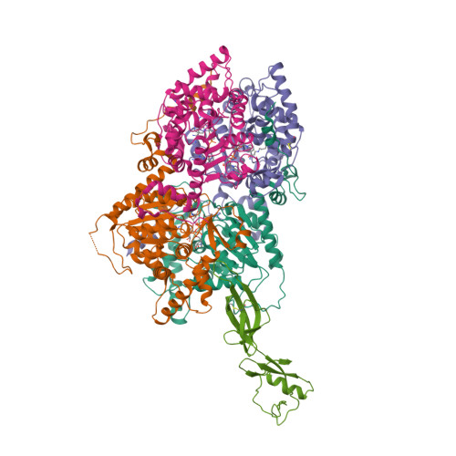 RCSB PDB - 8A0E: CryoEM structure of DHS-eIF5A1 complex