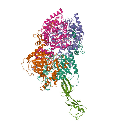 RCSB PDB - 8A0E: CryoEM structure of DHS-eIF5A1 complex