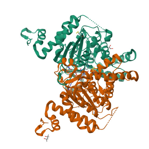 Cryo-EM structure of human eIF5A-DHS complex reveals the molecular basis of  hypusination-associated neurodegenerative disorders