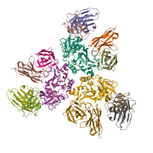 RCSB PDB - 8A1E: Rabies virus glycoprotein in complex with Fab ...